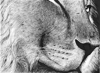 Kelly Ward Illustration: Decemb...